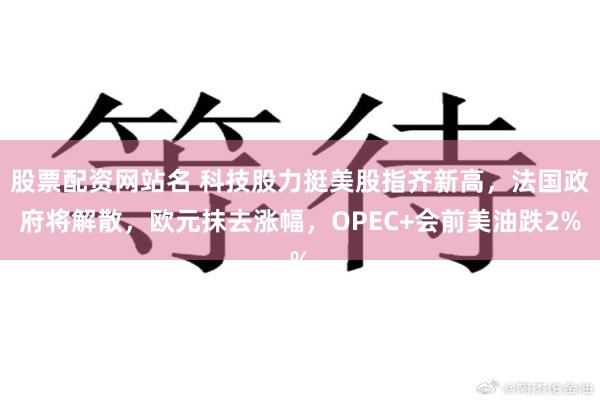 股票配资网站名 科技股力挺美股指齐新高，法国政府将解散，欧元抹去涨幅，OPEC+会前美油跌2%