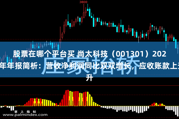 股票在哪个平台买 尚太科技（001301）2024年年报简析：营收净利润同比双双增长，应收账款上升