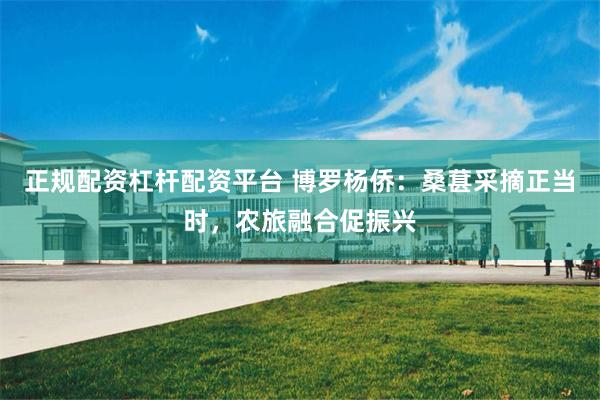 正规配资杠杆配资平台 博罗杨侨：桑葚采摘正当时，农旅融合促振兴