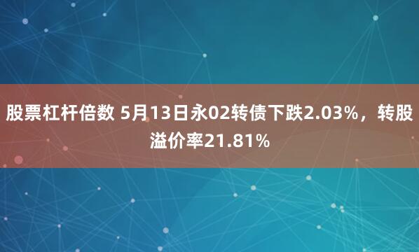 股票杠杆倍数 5月13日永02转债下跌2.03%，转股溢价率21.81%
