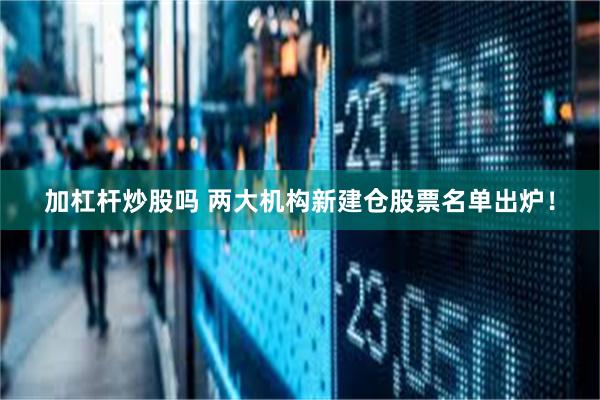 加杠杆炒股吗 两大机构新建仓股票名单出炉！