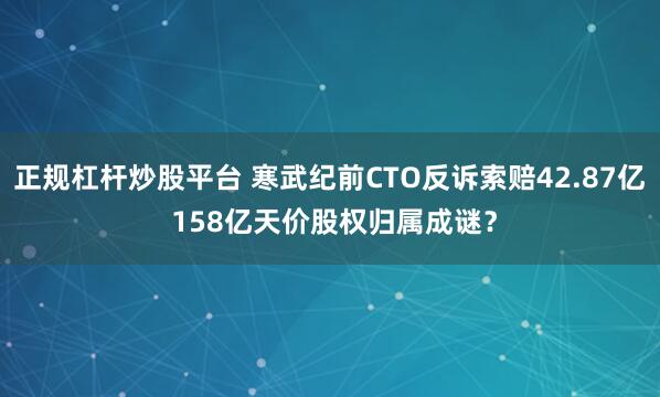 正规杠杆炒股平台 寒武纪前CTO反诉索赔42.87亿 158亿天价股权归属成谜？