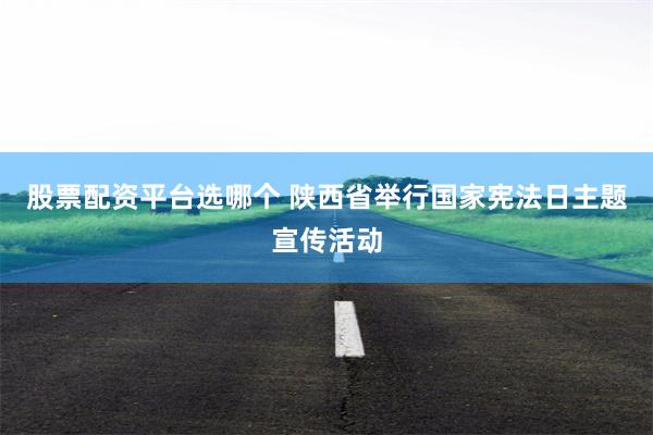 股票配资平台选哪个 陕西省举行国家宪法日主题宣传活动